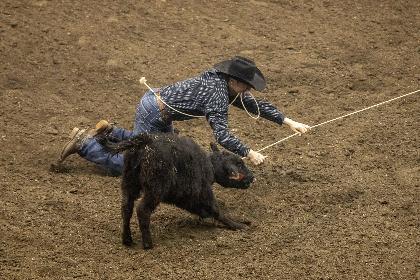 Rodeo Rapid City